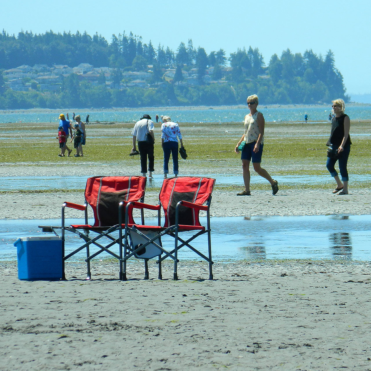 Things To Do Birch Bay Birch Bay WA Birch Bay Real Estate