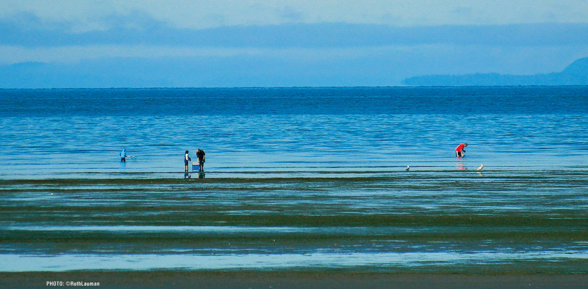 Birch Bay WA Beach Strolling