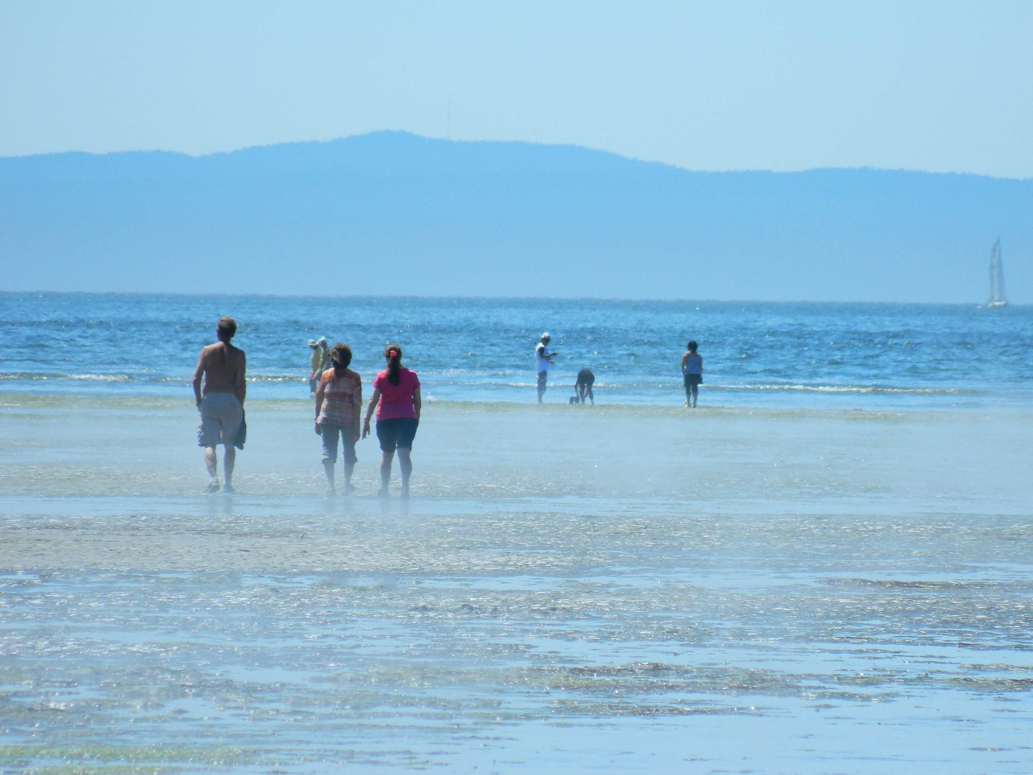 Houses for Sale Birch Bay Village