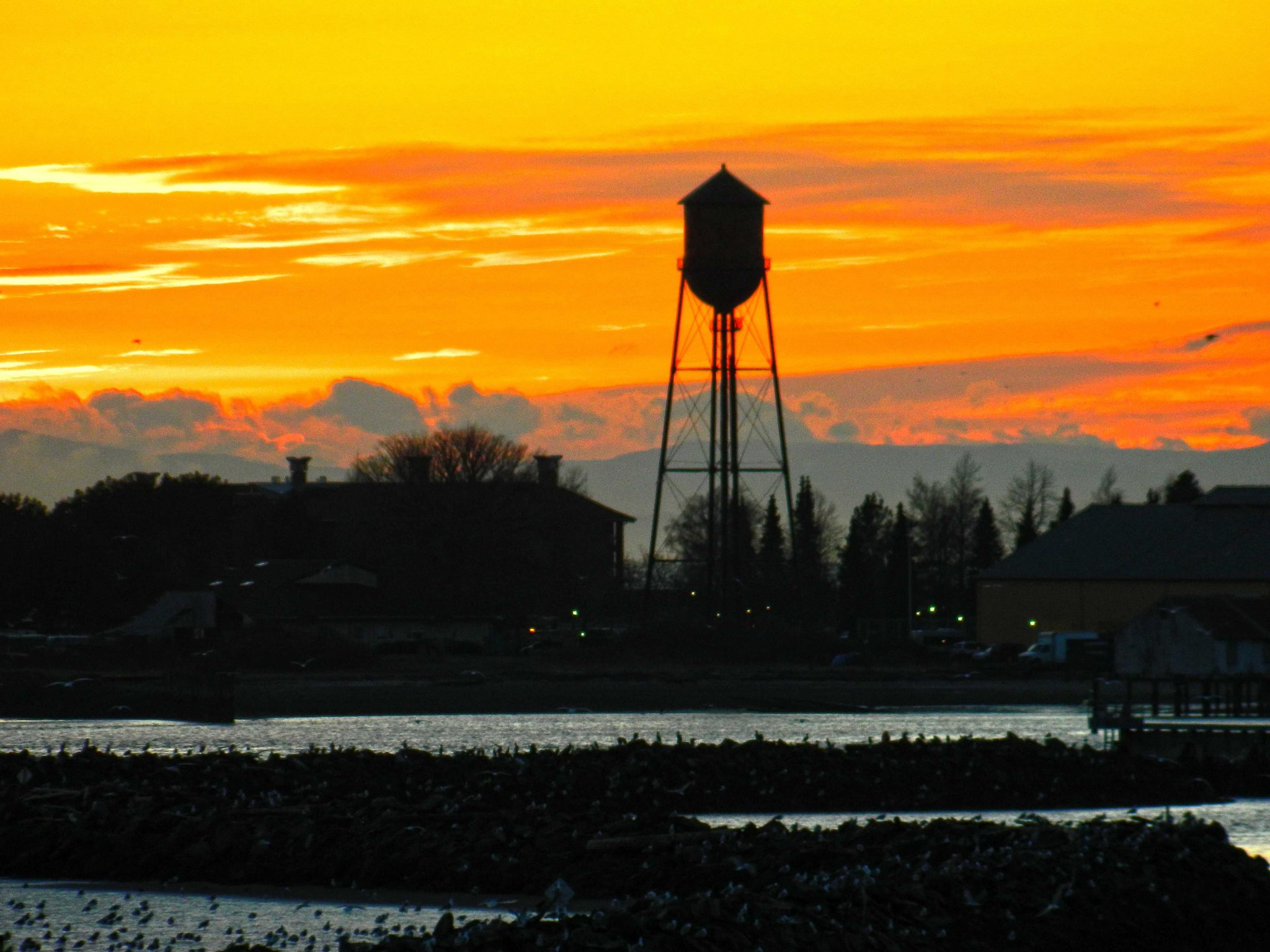 Houses for Sale Birch Bay Village