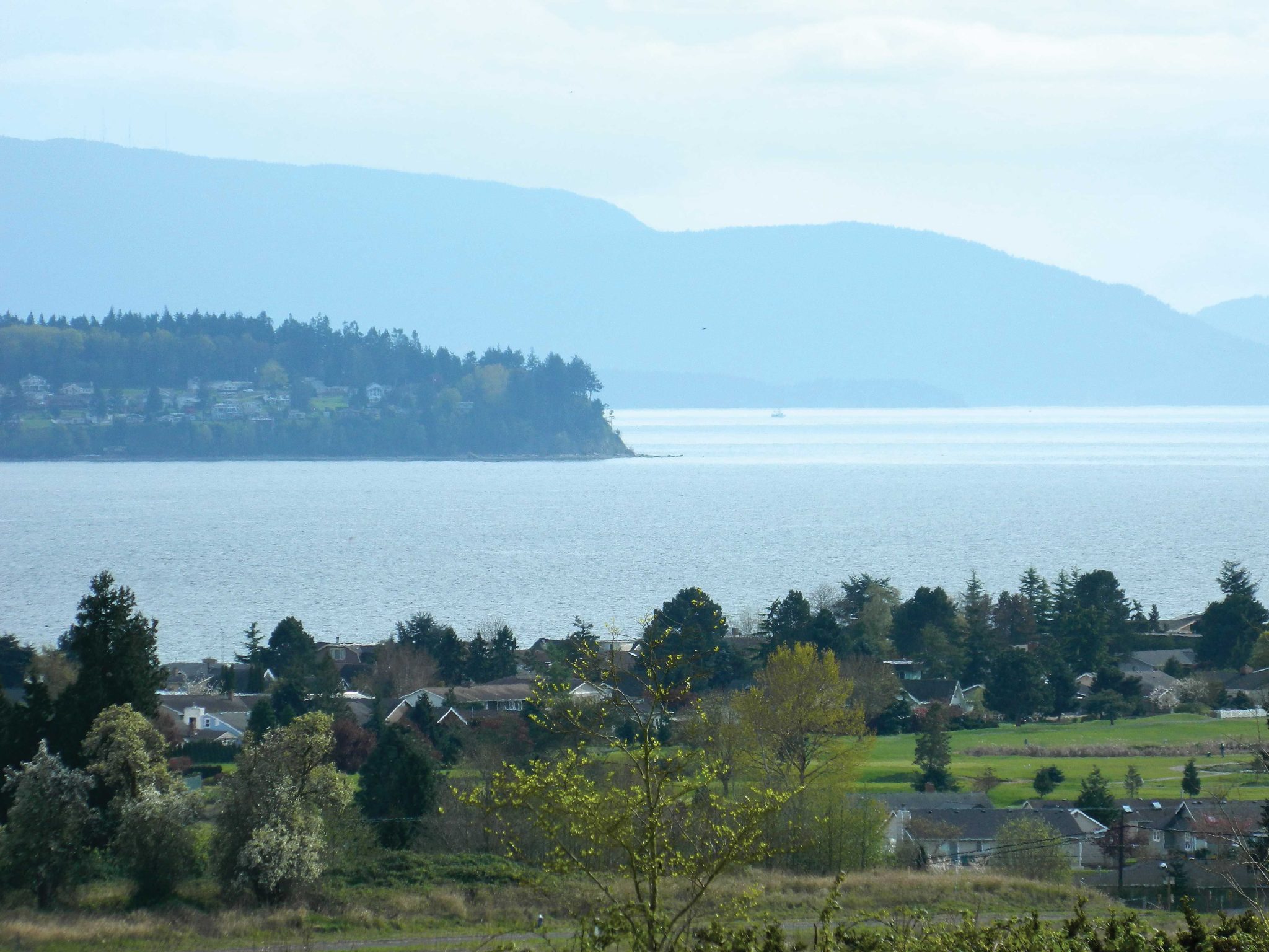 Houses for Sale Birch Bay Village