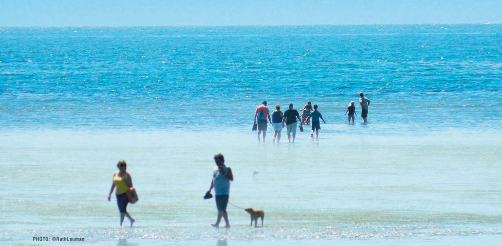 Tide Tables Birch Bay Village