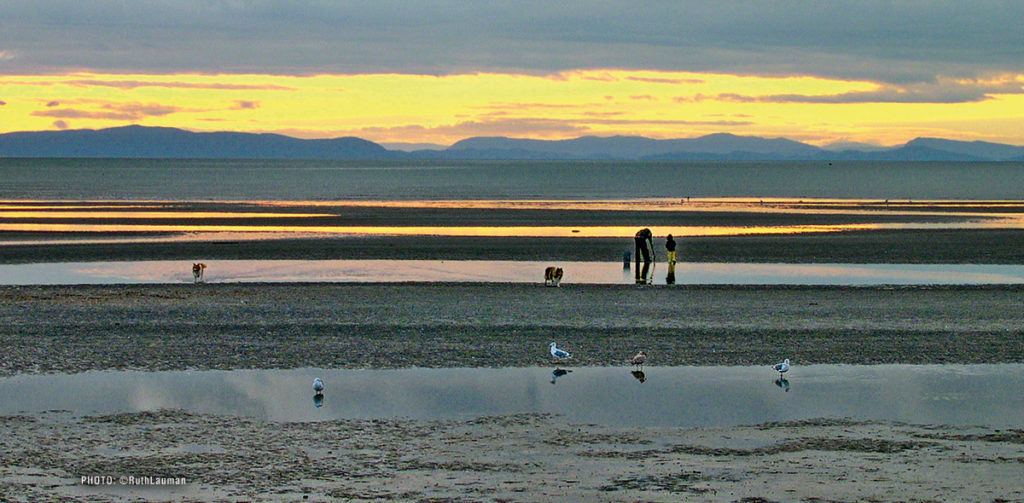 Birch Bay Restaurants Birch Bay Village