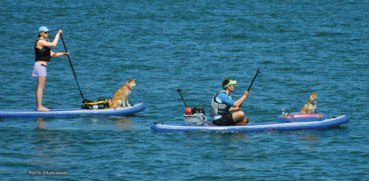 Guide Birch Bay Village